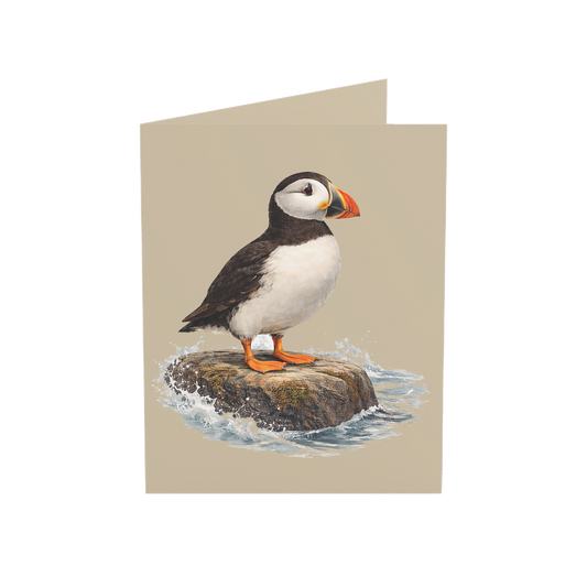 Coastal Puffin Greeting Cards, 10ct